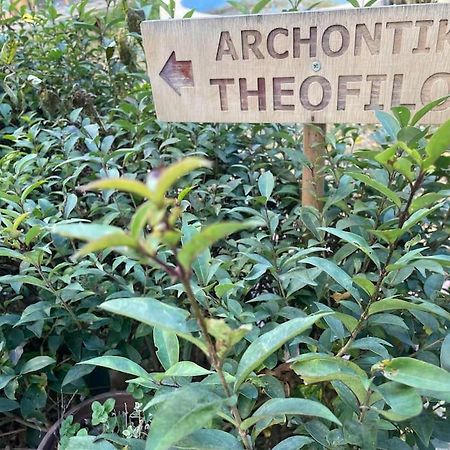 塞萨洛尼基Αrchontiko Theofilou公寓 外观 照片
